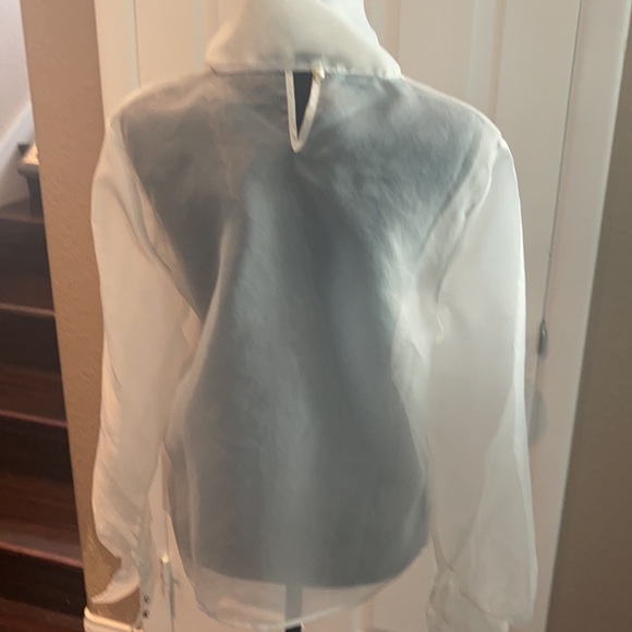 COPY - A white sheer women’s blouse size large - Picture 4 of 8